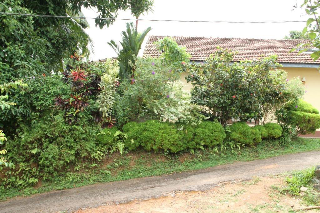 Hill Residence Хиккадува Номер фото